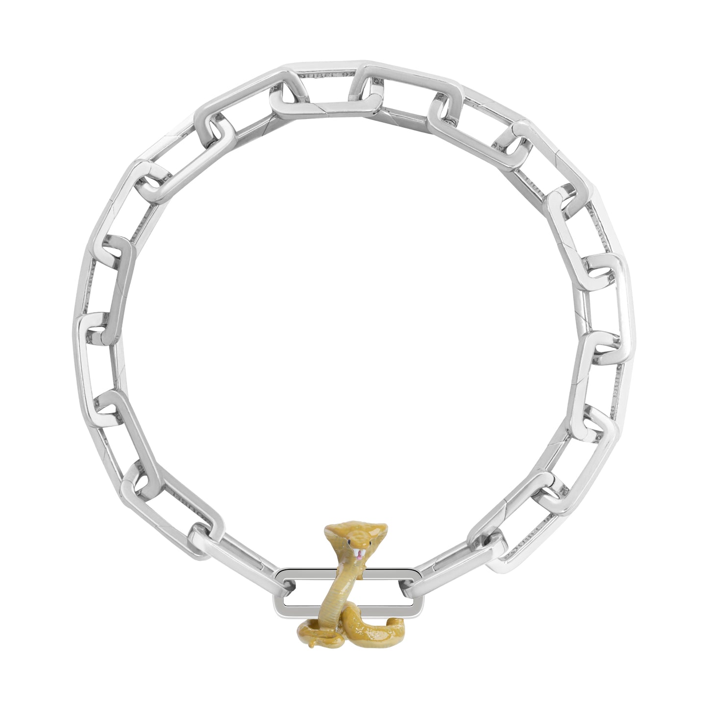 Snake Charm