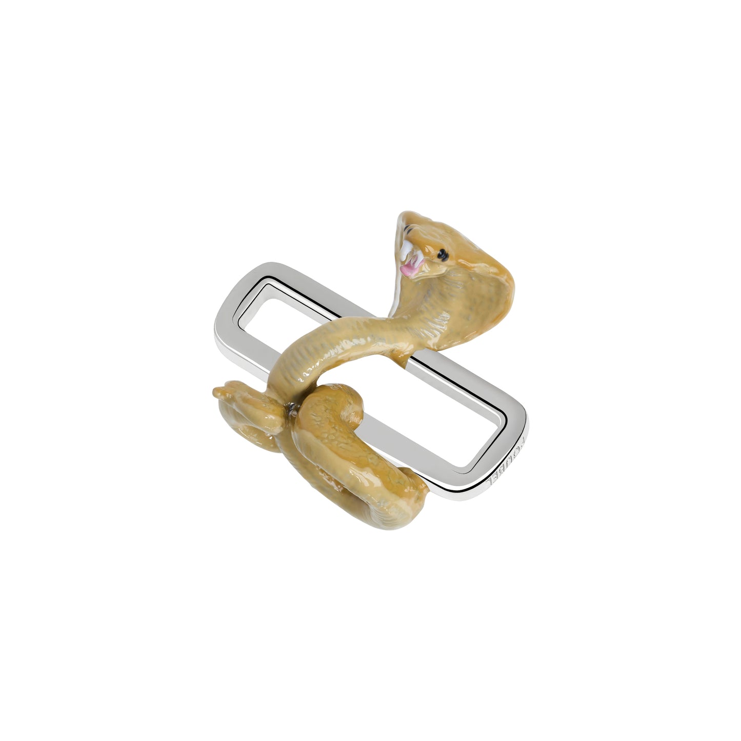Snake Charm
