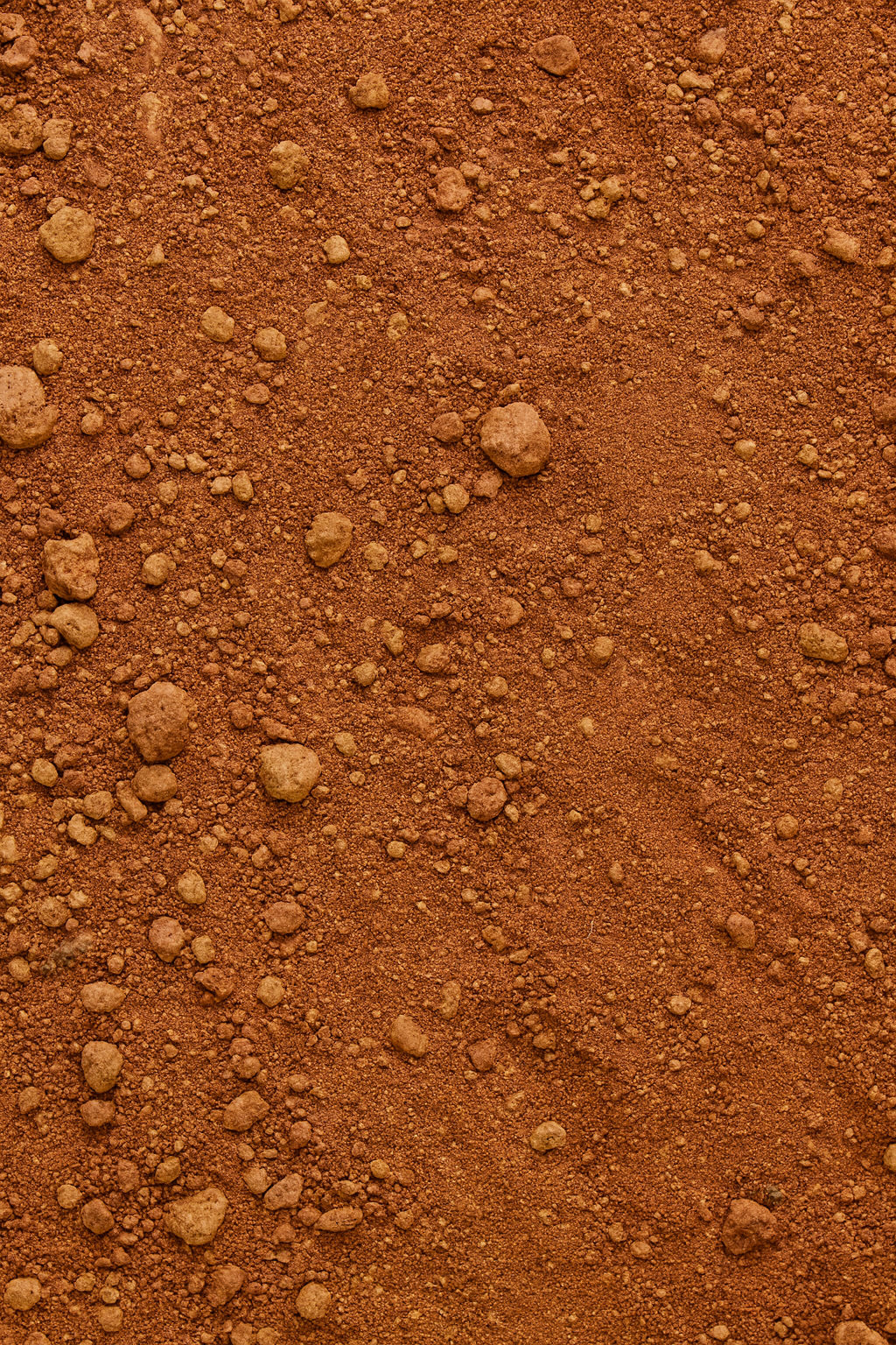 NEW - All Products - Animal Collection [AUTO]