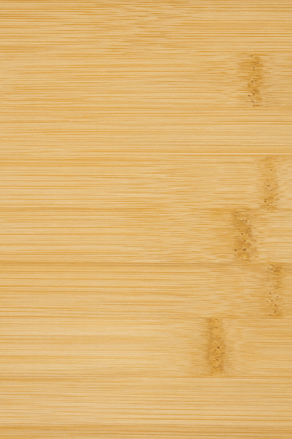 NEW - All Products - Food Collection [AUTO]