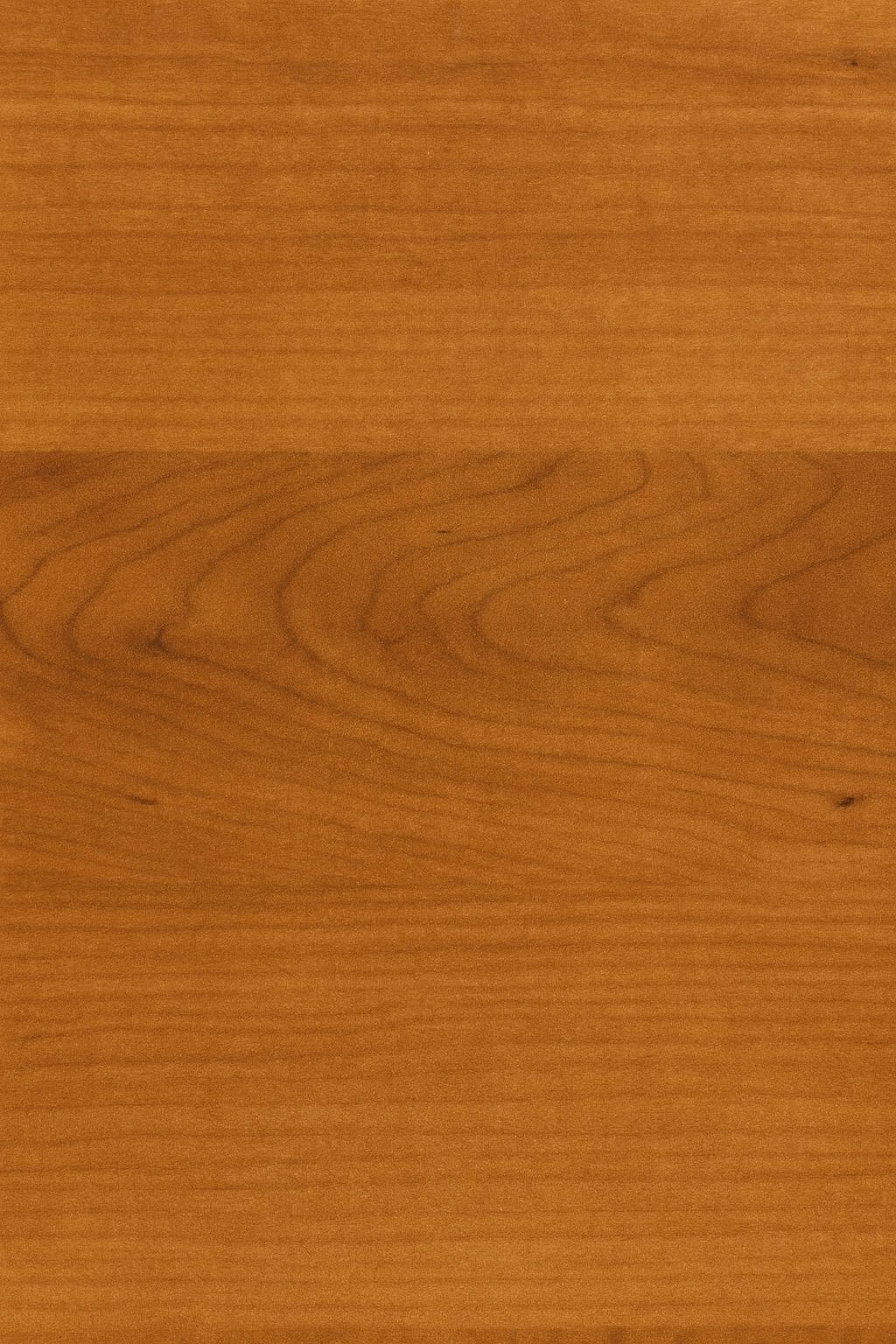 NEW - All Products - Sports Collection [AUTO]