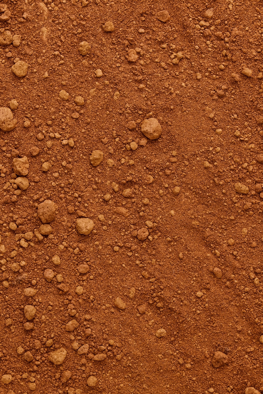 NEW - All Charms - Animal Collection [AUTO]