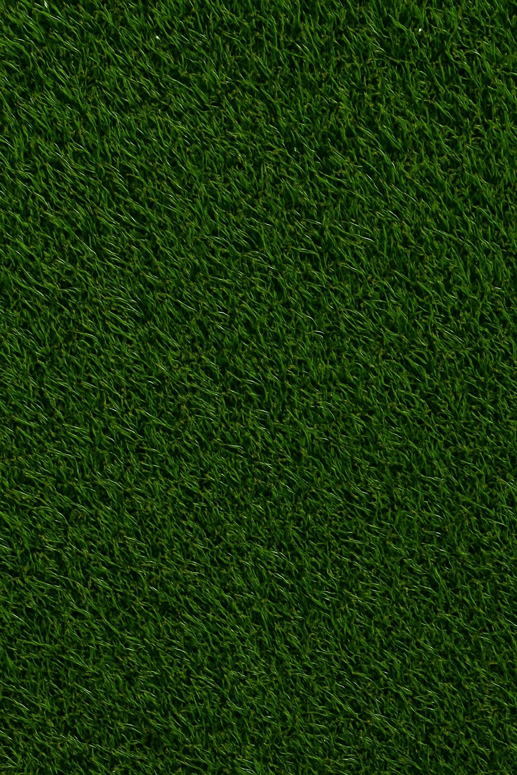 NEW - All Charms - Nature Collection [AUTO]