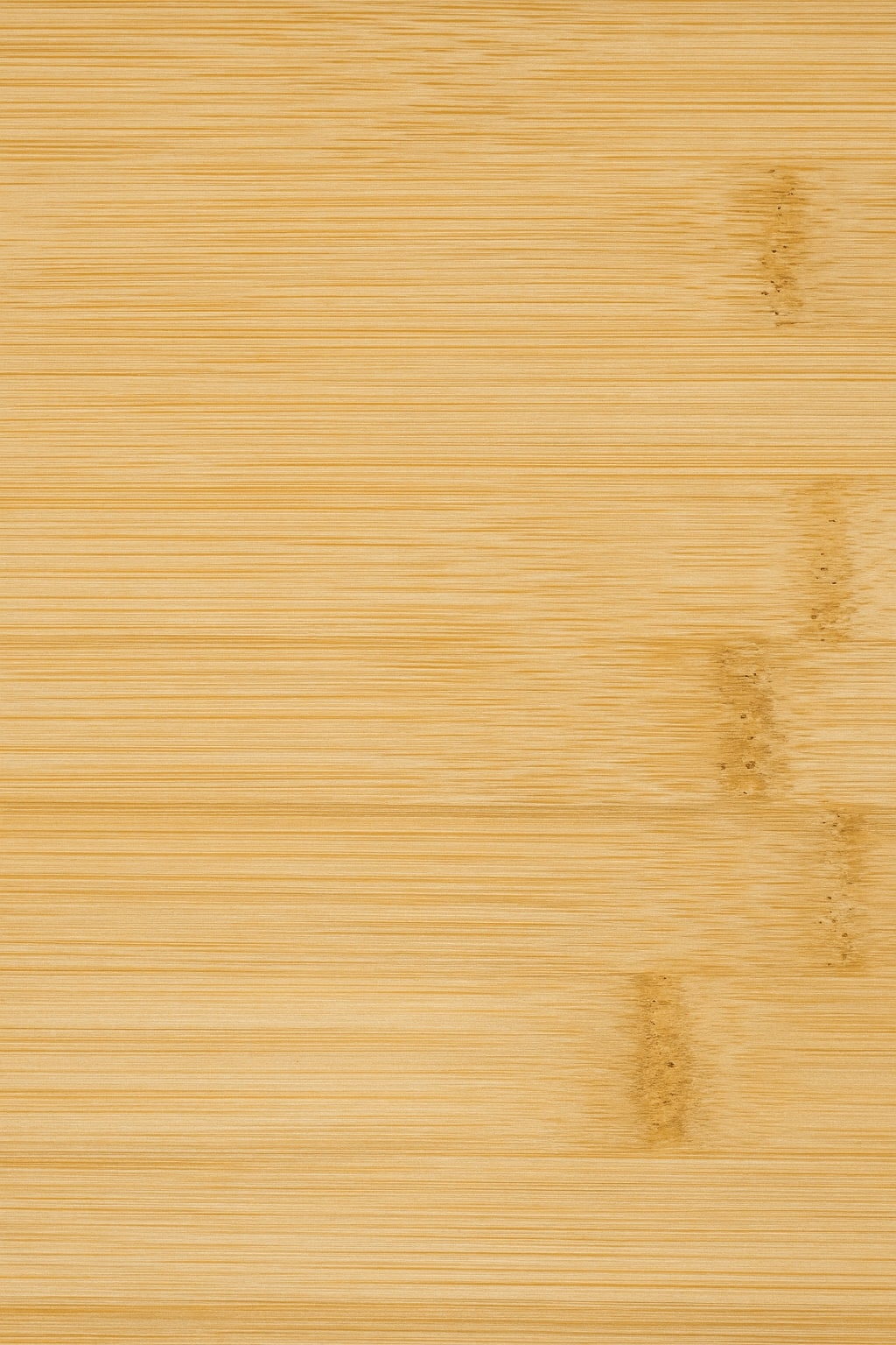 NEW - All Charms - Food Collection [AUTO]