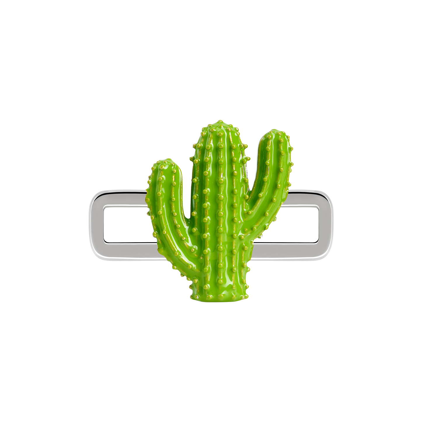 Cactus Charm