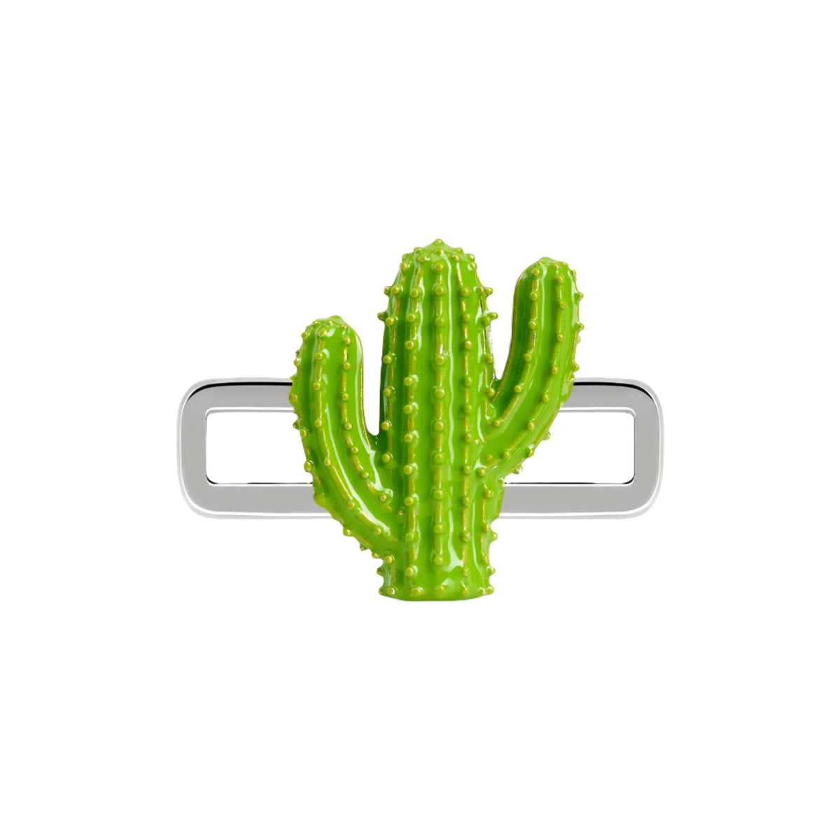 Cactus Charm