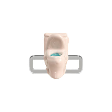 Toilet Charm