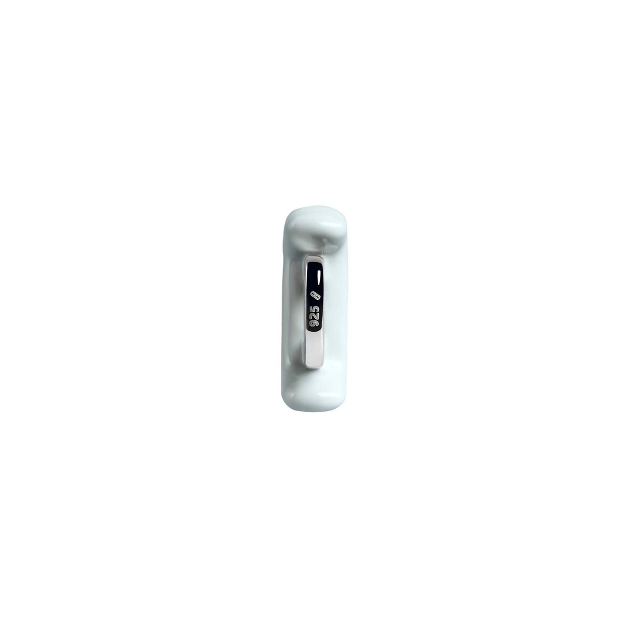 Gemini Charm