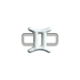 Gemini Charm