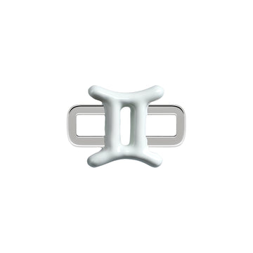 Gemini Charm
