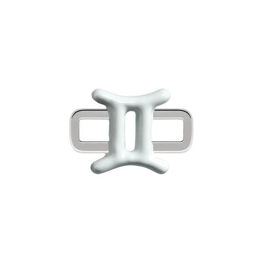 Gemini Charm