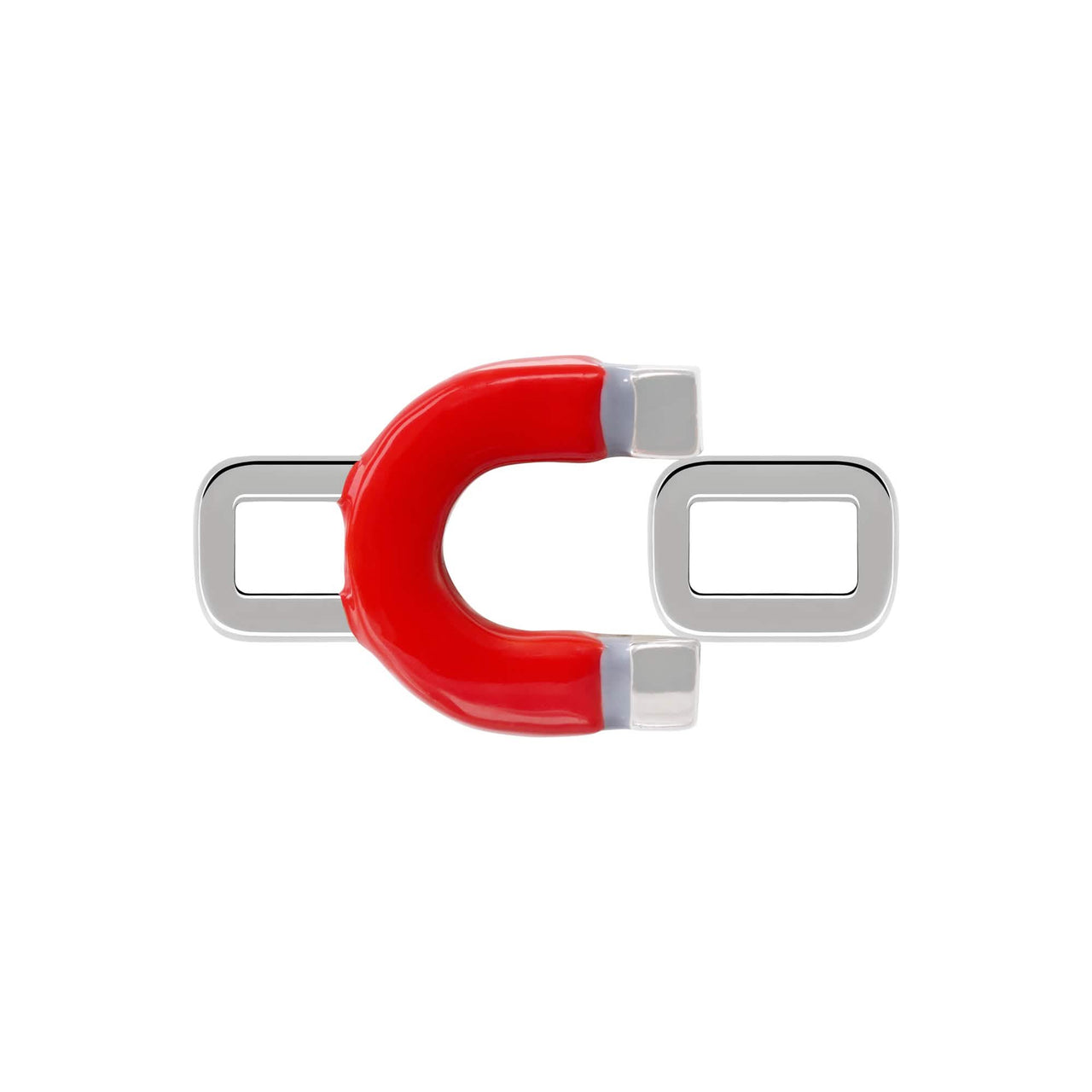 Magnet Charm