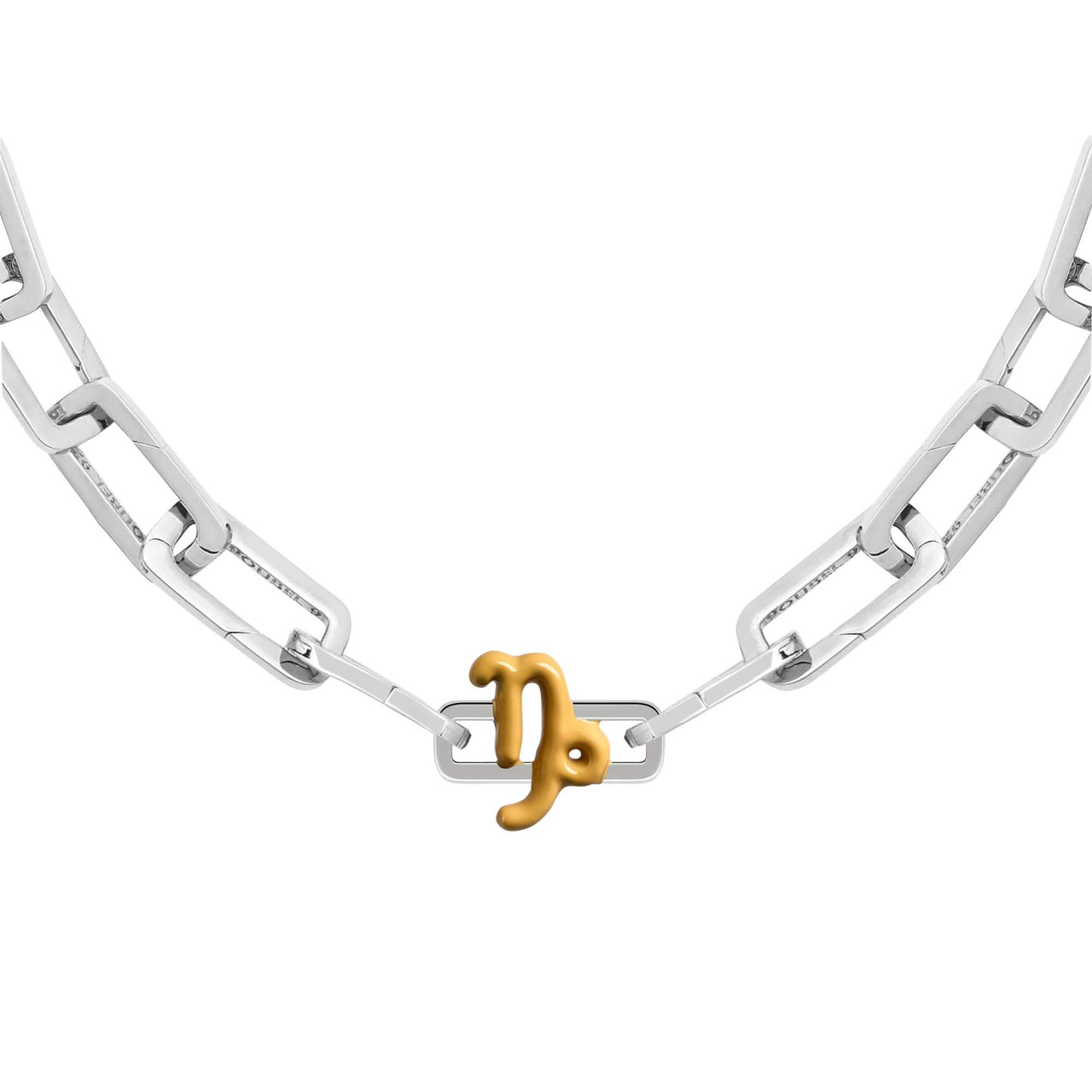 Capricorn Charm