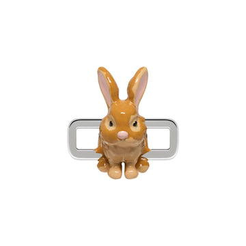 Bunny Charm