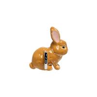Bunny Charm