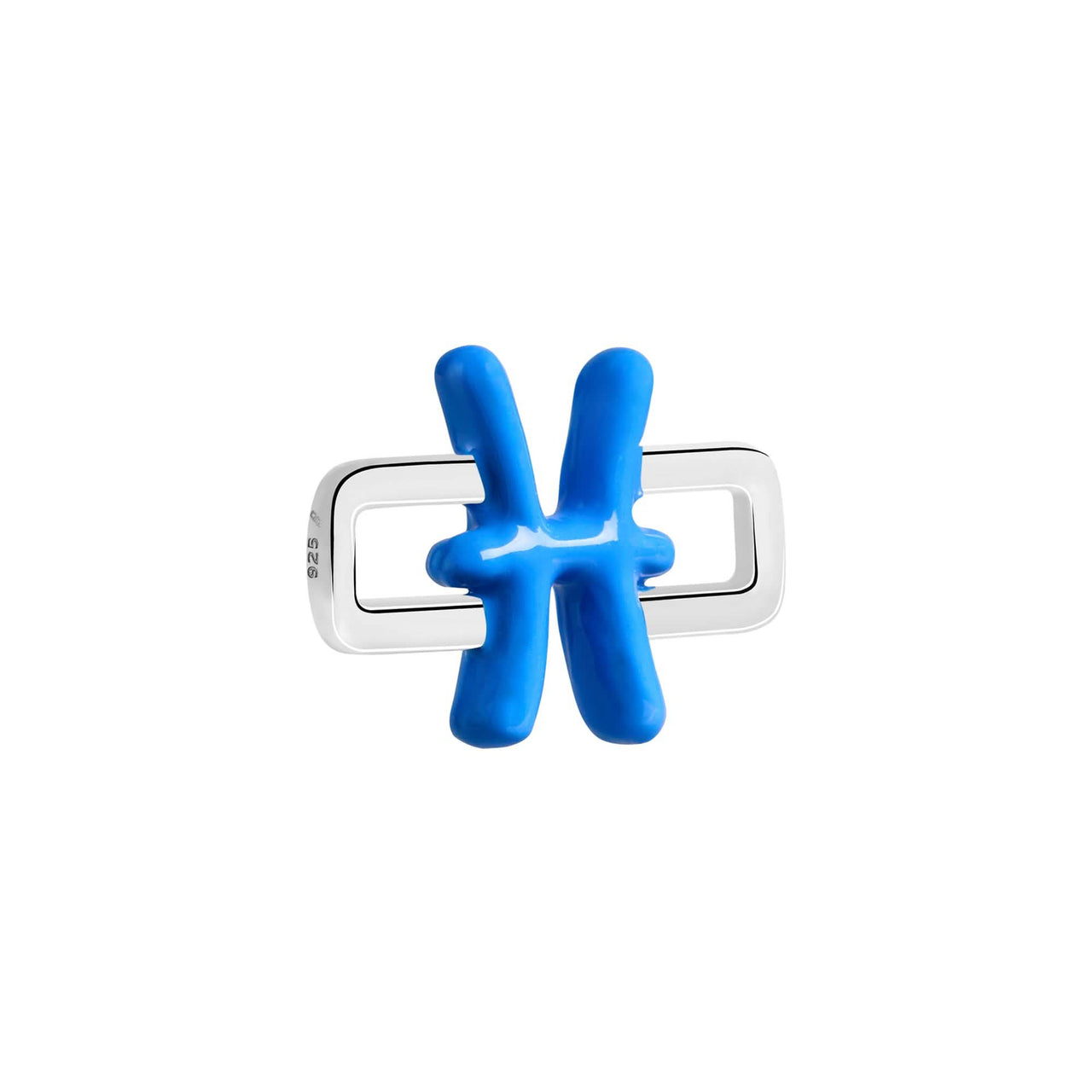 Pisces Charm