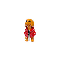 Cosy Dachshund Charm