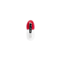Monaco Flag Charm