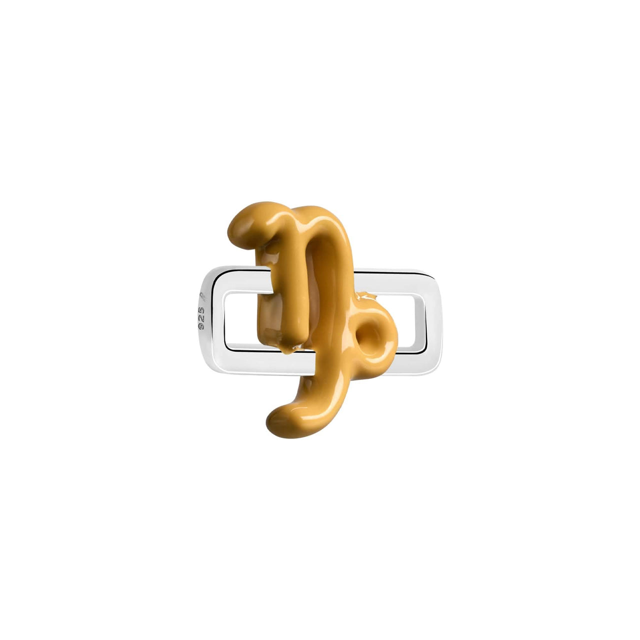 Capricorn Charm