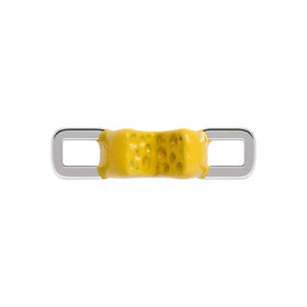 Cheese Wheel Charm