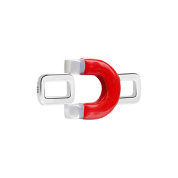 Magnet Charm