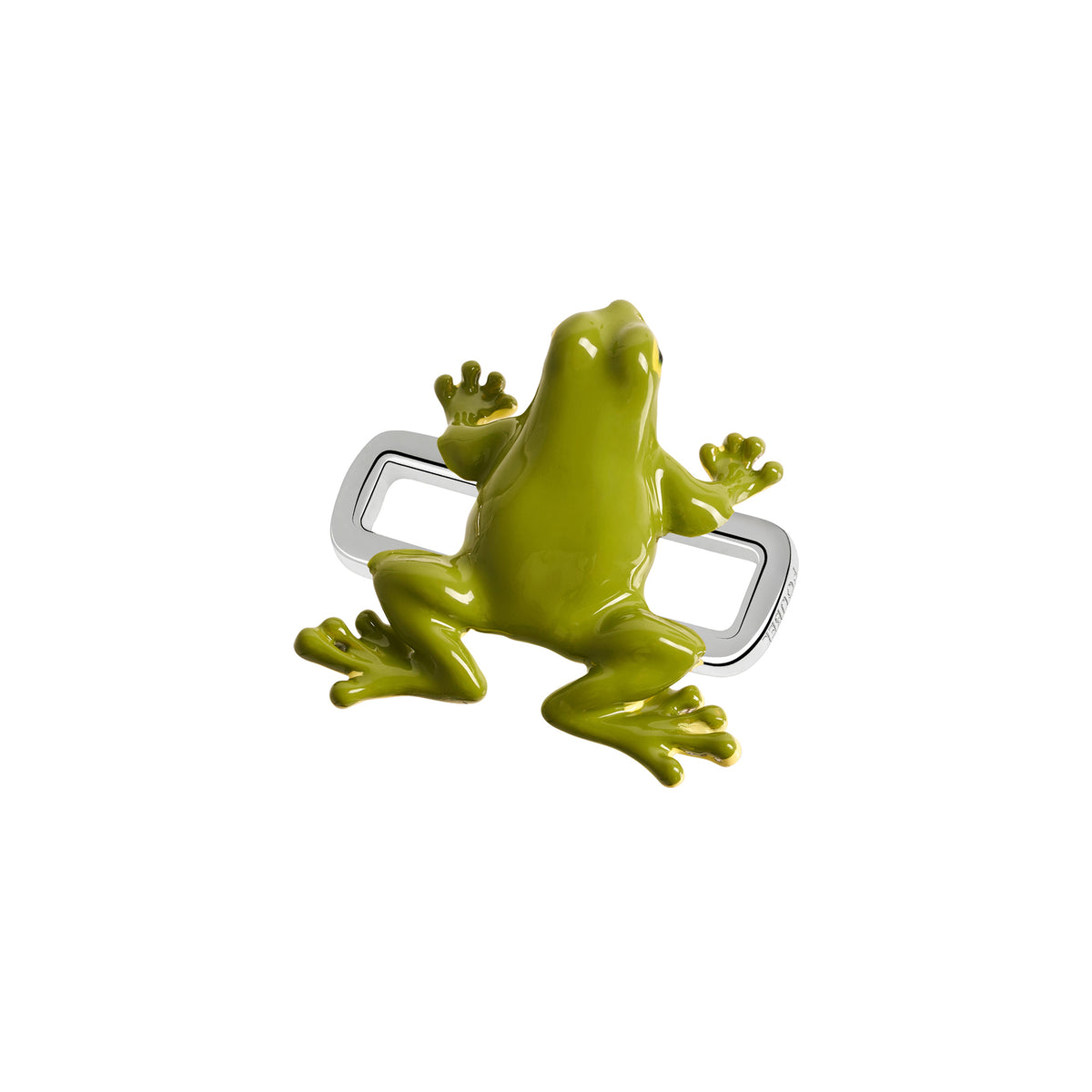 Frog Charm