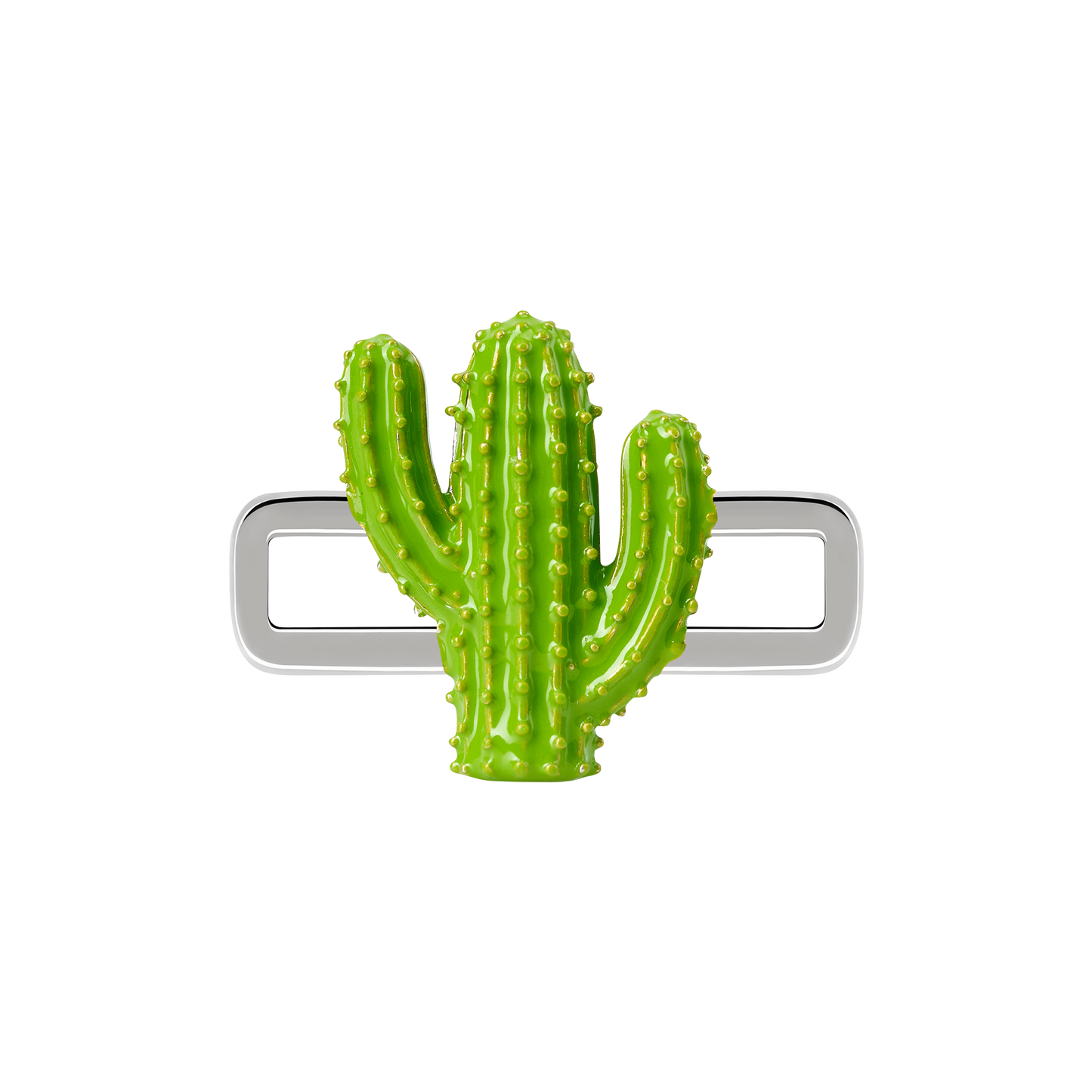 Cactus Charm