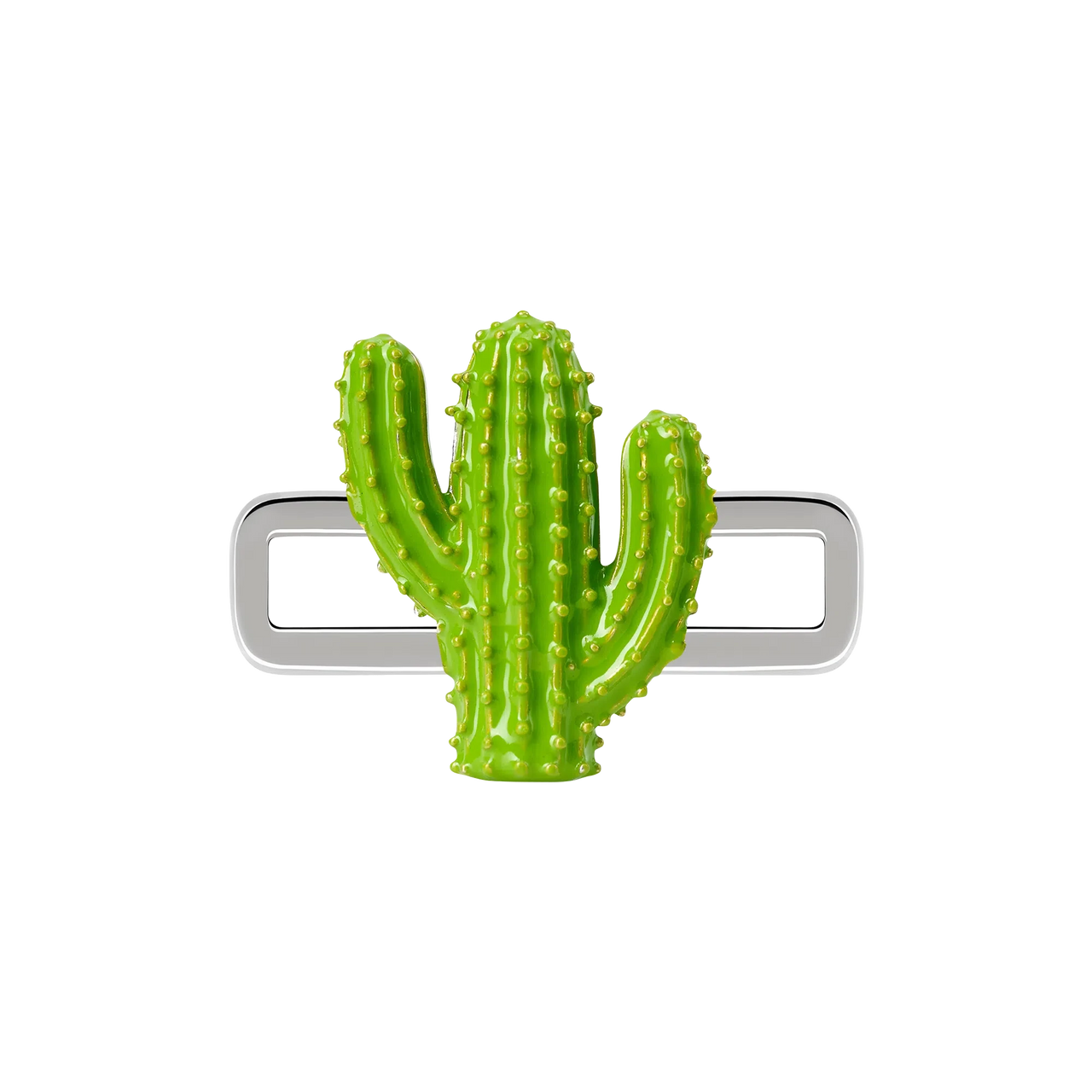 Cactus Charm