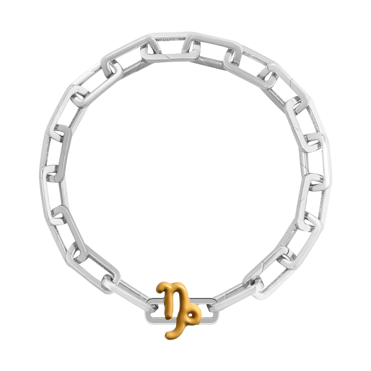 Capricorn Charm