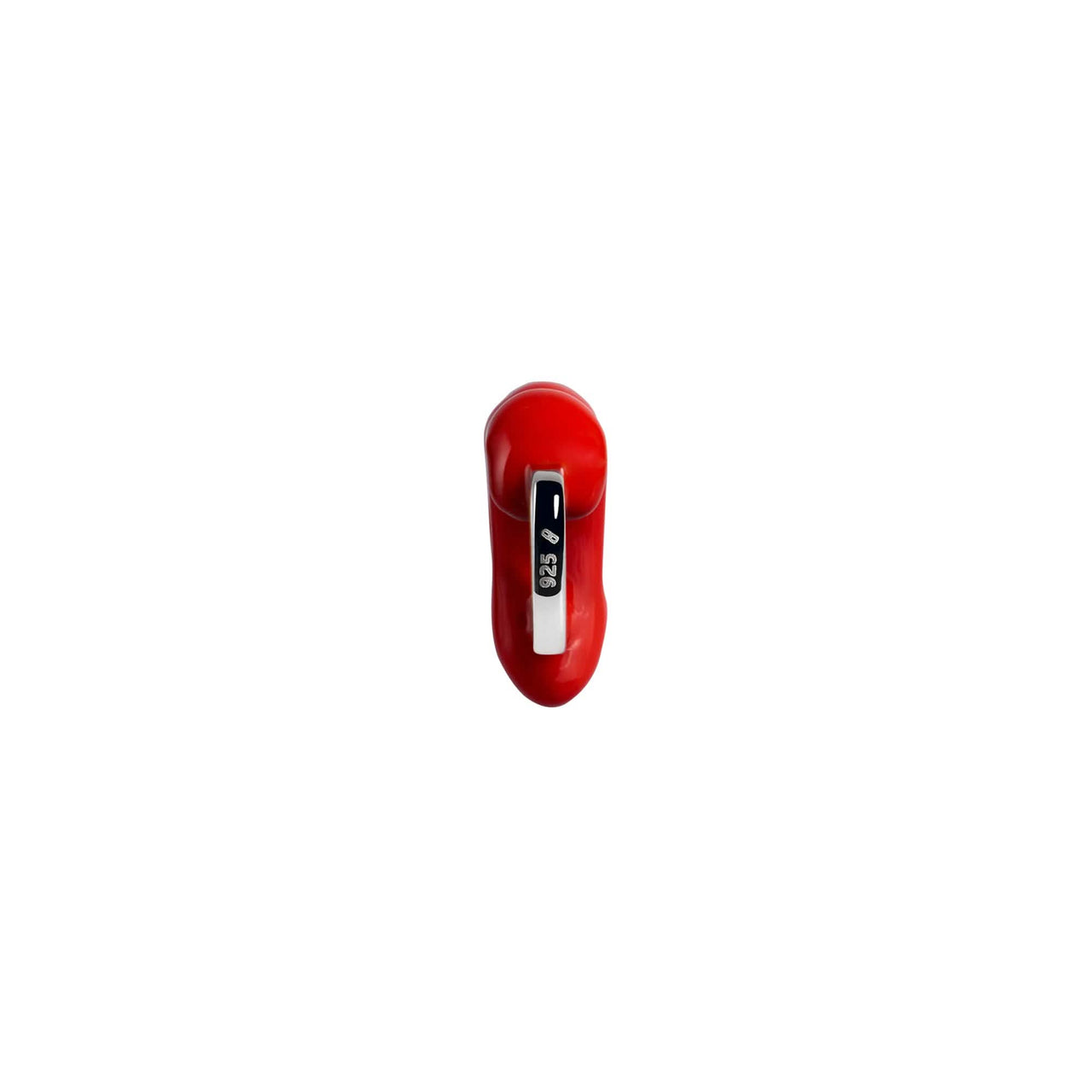 Aries Charm