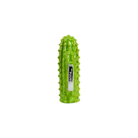 Cactus Charm