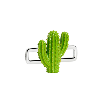 Cactus Charm