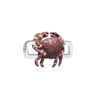 Cancer Crab Charm