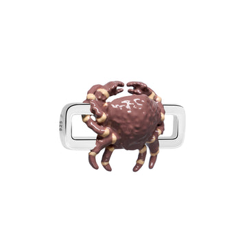 Cancer Crab Charm